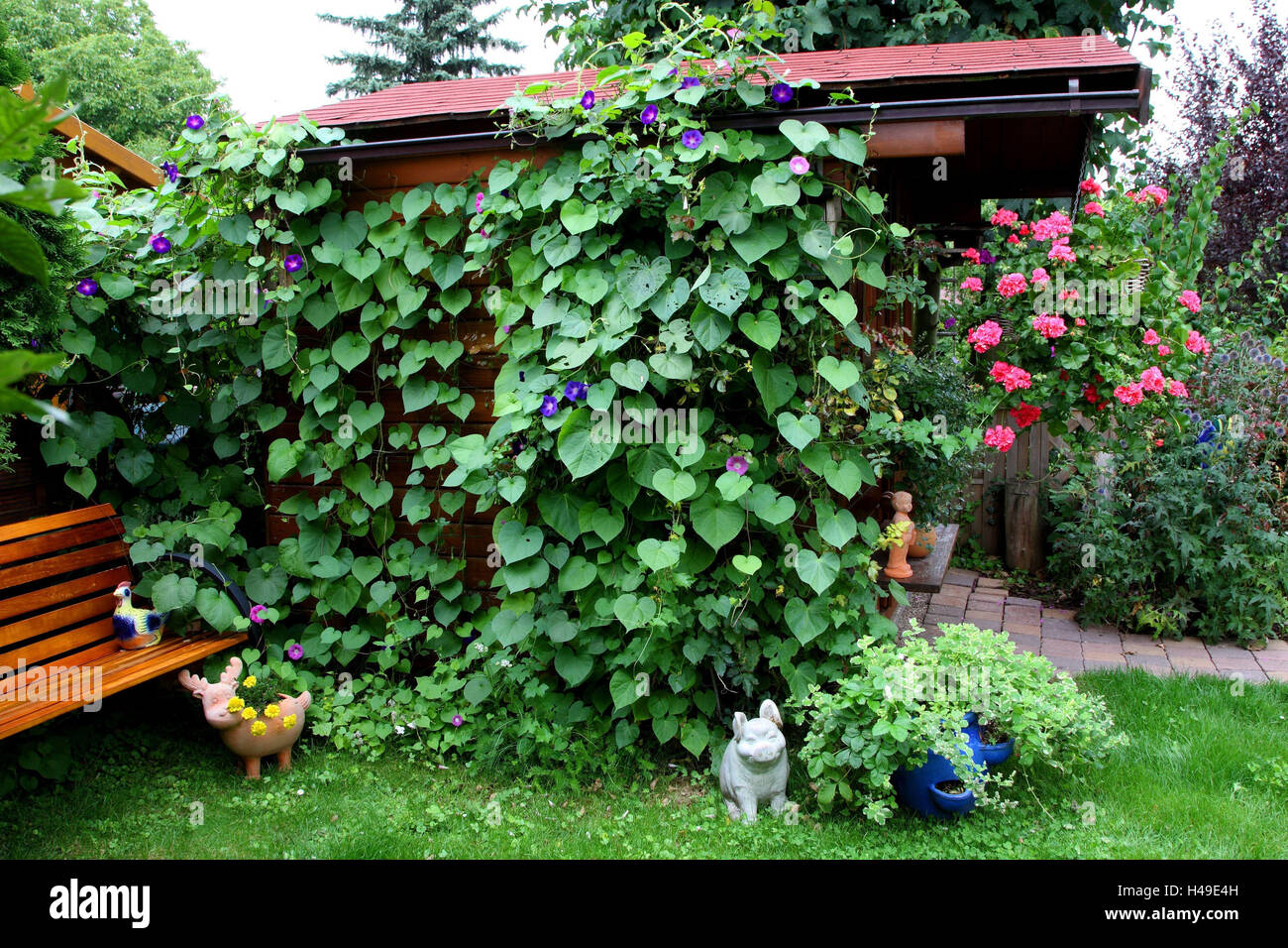 Sommerhaus, Blumen, ranken, abgedeckt Stockfotografie - Alamy