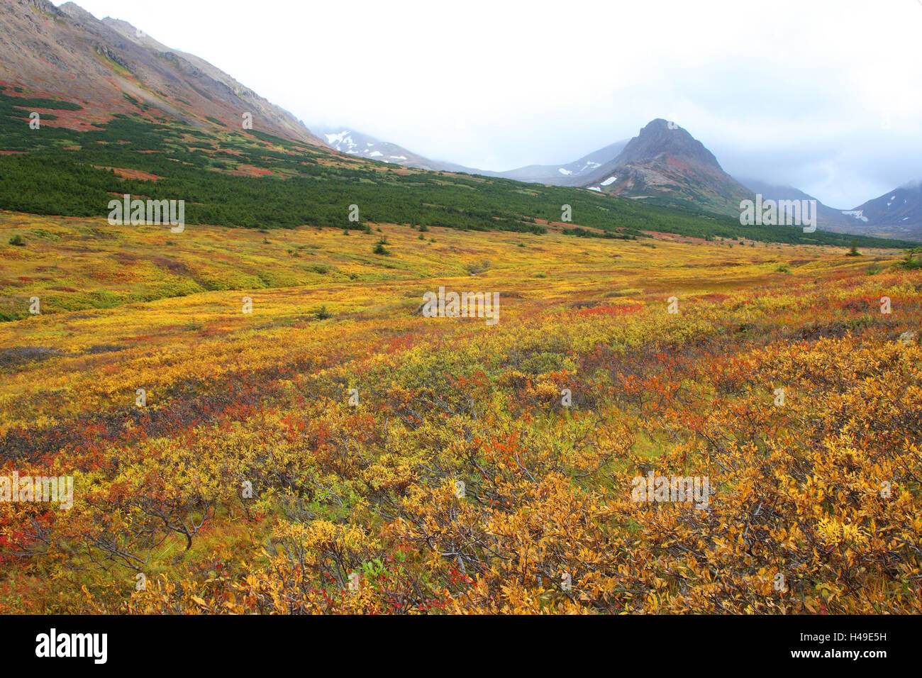 USA, Alaska, Landschaft, Herbst, Stockfoto
