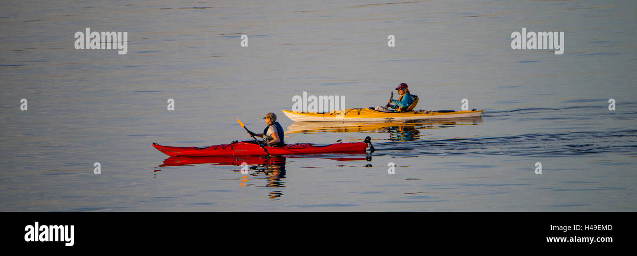 Menschen Kajakfahren auf dem Puget Sound, Washington State, USA Stockfoto
