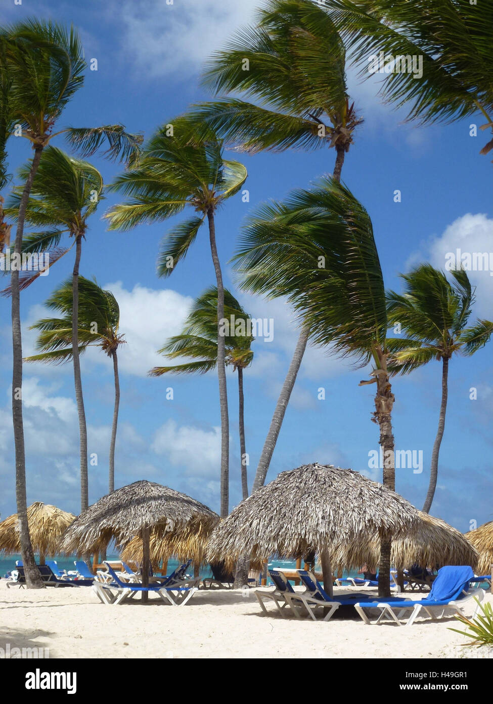 Dominikanische Republik, Punta Cana, Playa Bavaro, Hotelstrand Bavaro Princess, Palmen, Sofas mit Sonnenschutz, Palmen, Wind, Stockfoto