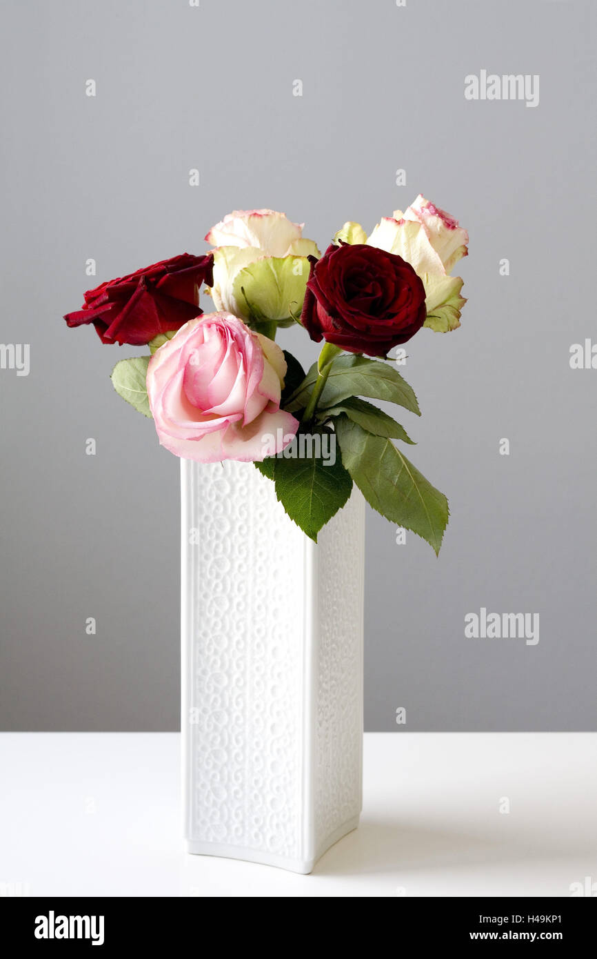 Rosen in weißer Vase, Stockfoto