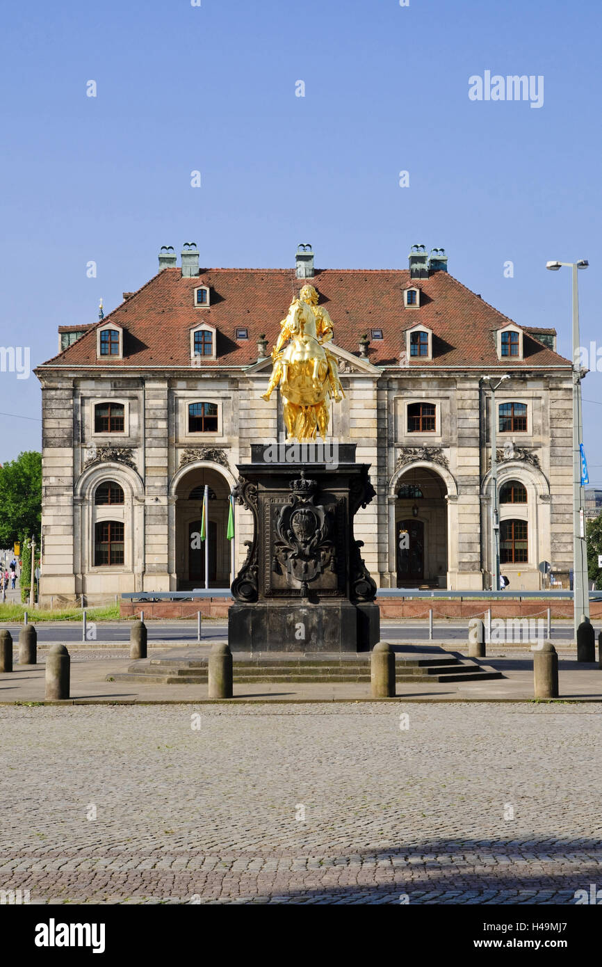 Goldene bluten, Blockhaus, Neustadt, Dresden, Sachsen, Deutschland Stockfoto
