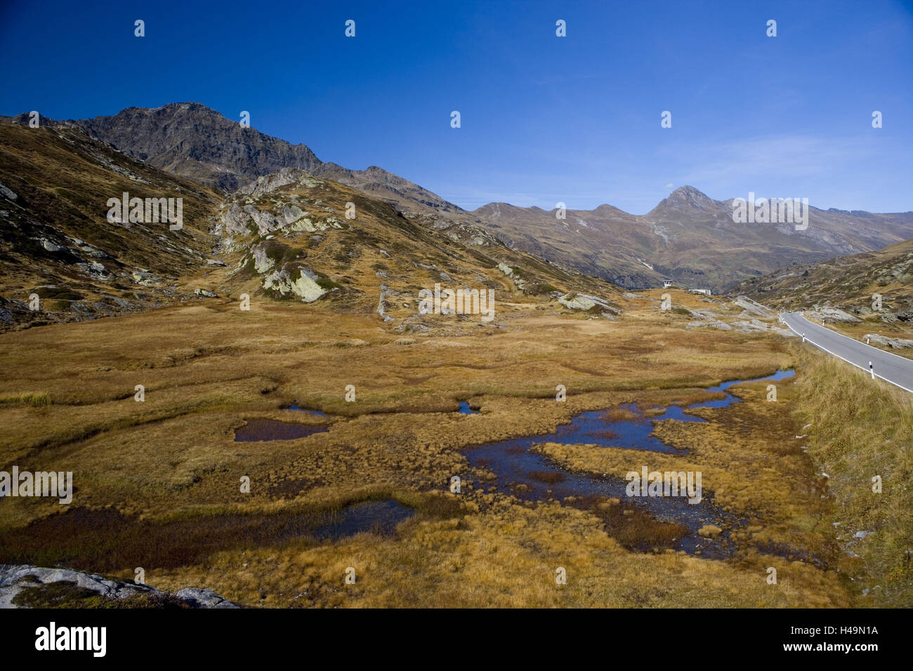 Schweiz, Bündner, Rhein Holz, San Bernardino Pass, Bergpass, Marsh Wiese, Moore, Masegg Bach, Mäander, Stockfoto