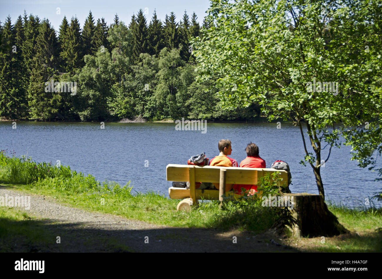 Deutschland, Niedersachsen, Harz, Farben Vaultingpferd, obere Nassenwieser Teich, Ufer, Bank, Wanderer, Stockfoto