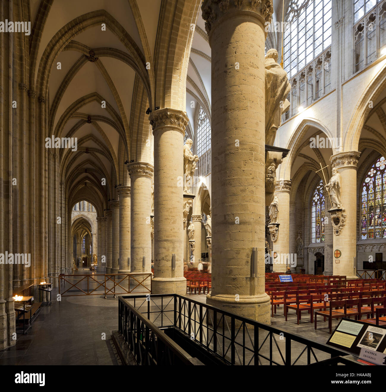 Belgien, Brüssel, Kathedrale St. Michel et Gudule, Mittelschiff, Sättel, Stockfoto