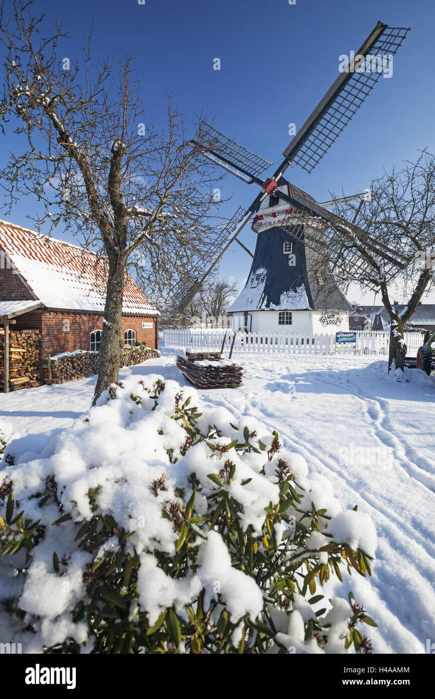 Winterstimmung, Werdum Mühle in Werdum, Niedersachsen, Ostfriesland, Harlingerland, Stockfoto