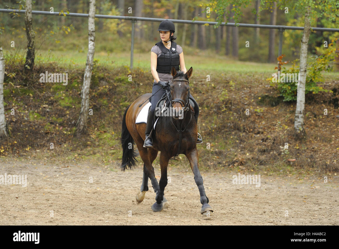 Teenager-Mädchen, Pferd, Bayerisches Warmblut, Reiten, Frontal, Stockfoto