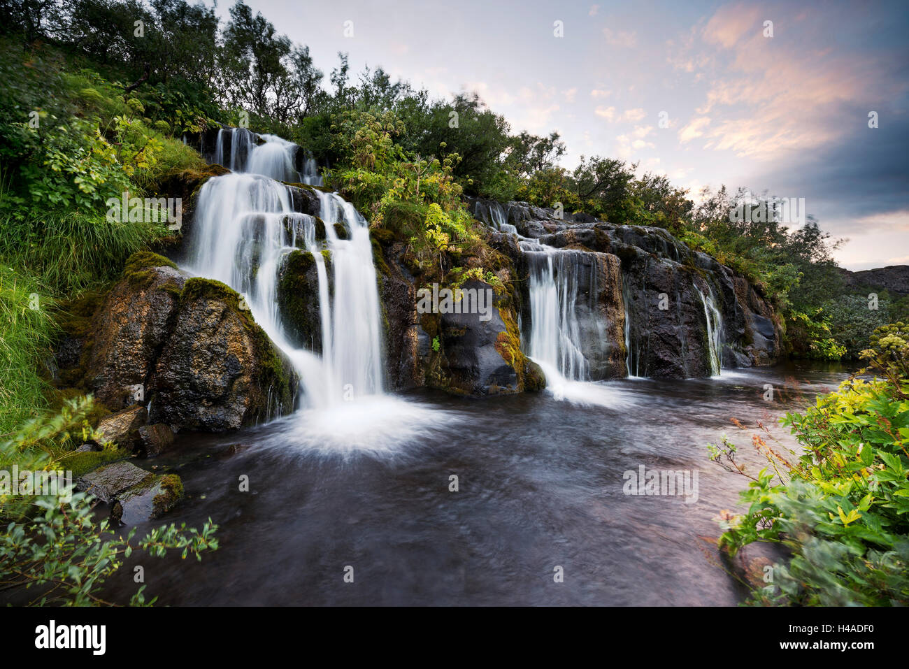 Island, Wasserfall, Rush, Stimmung, Stockfoto