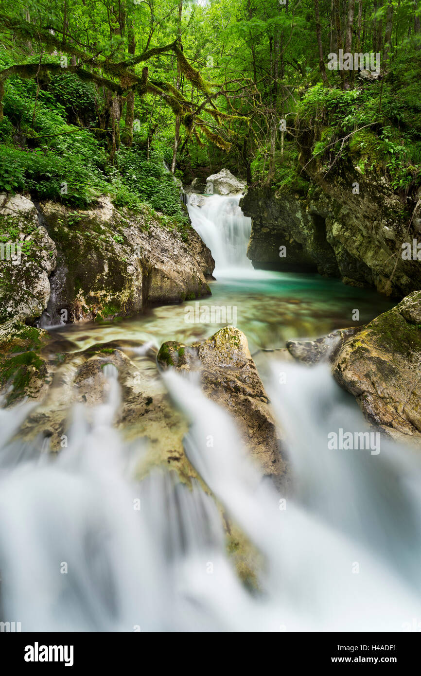 Slowenien Triglav Nationalpark, Wasserfall, Stockfoto