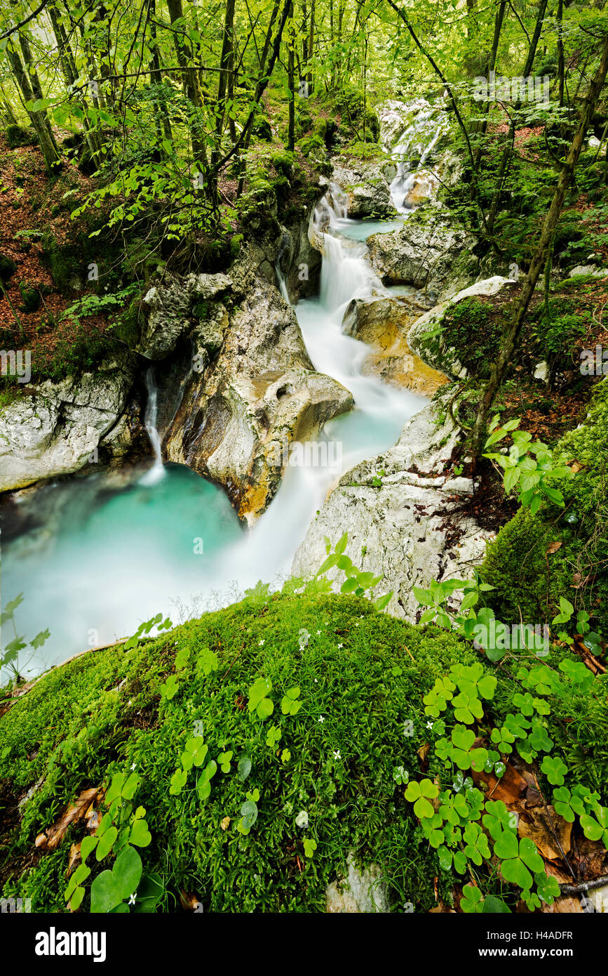 Slowenien Triglav Nationalpark, Fluss, Stockfoto