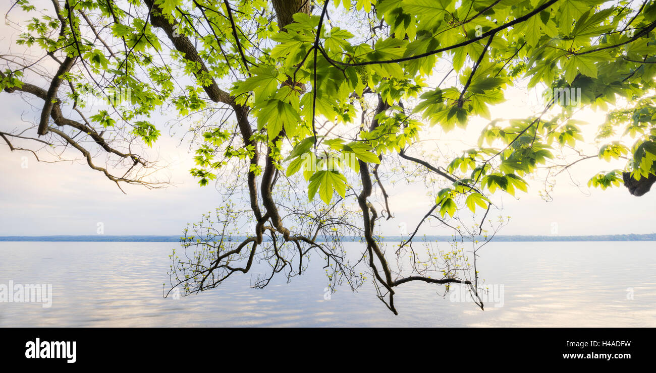 Deutschland, Bayern, "Ammersee" (See), "Breitbrunn" (Gemeinde) Stockfoto