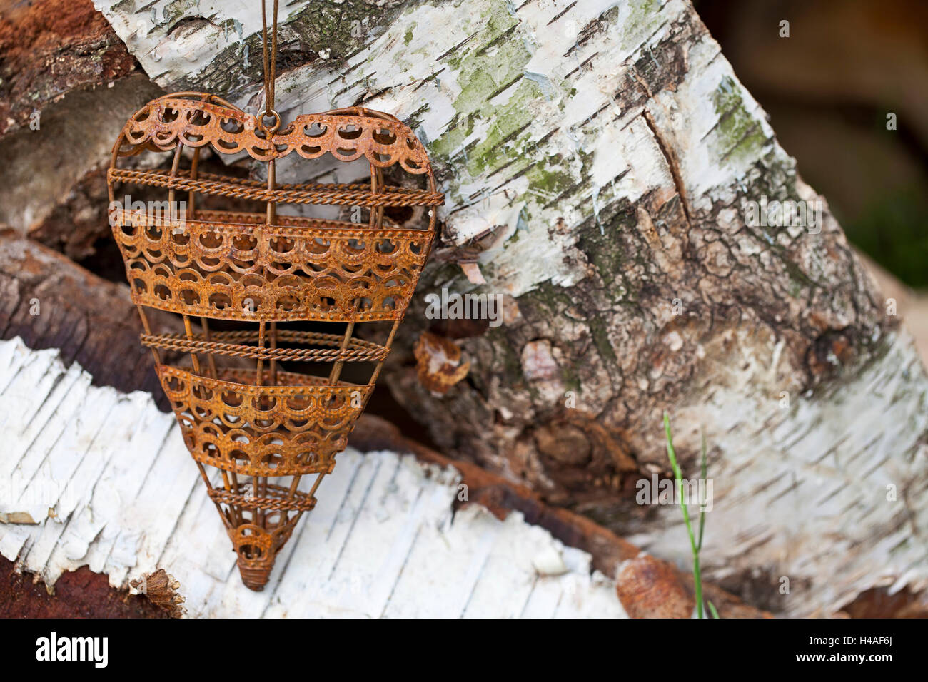 Metallherz auf Birkenholz Stockfoto