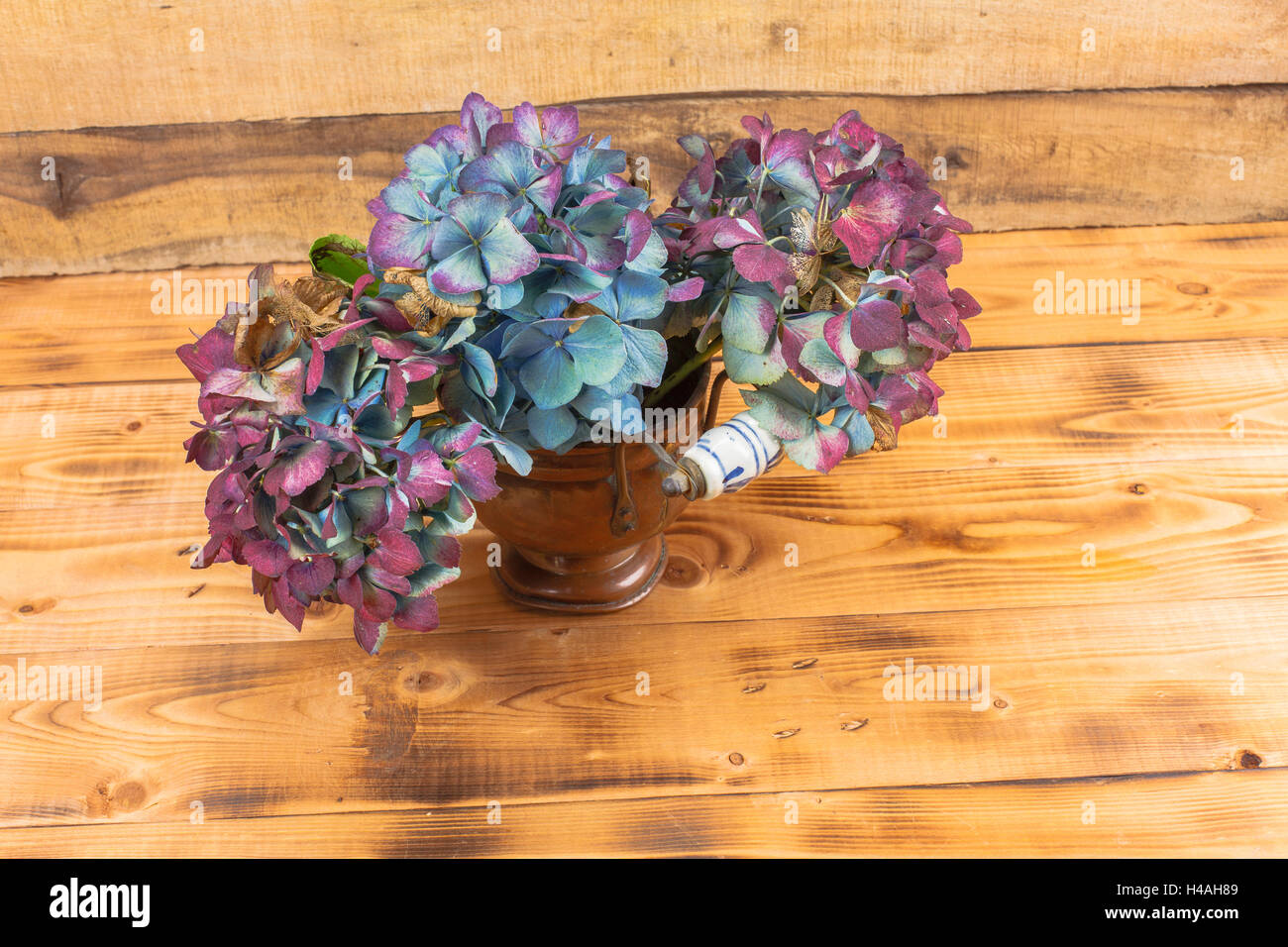 Unten Hortensie im Herbst Stockfoto