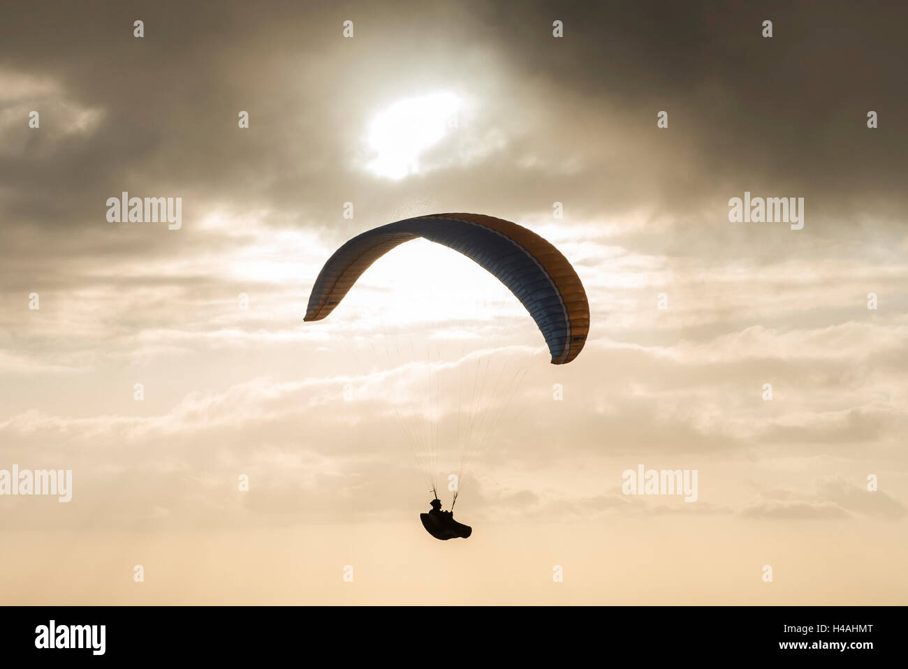 Gleitschirm, Teneriffa, La Caleta, Playa De La Enramada, Sonnenuntergang, Paragliding, Costa Adeje, Atlantik, Provinz Santa Cruz De Tenerife, Kanarische Inseln, Spanien Stockfoto