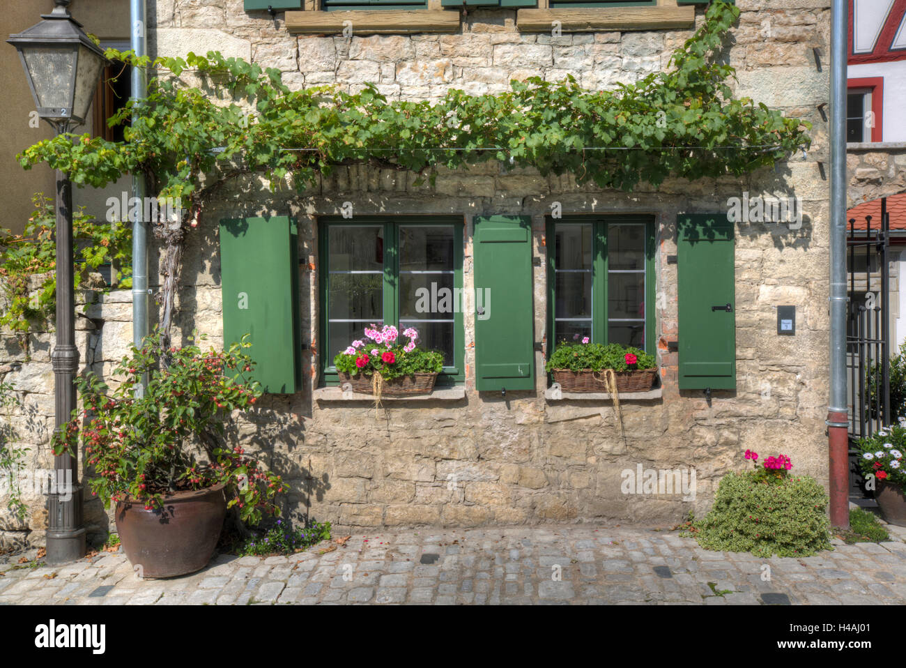 Ars Vini Franken in Sommerhausen am Main, senken Sie Franconia, Bayern, Deutschland, Europa Stockfoto