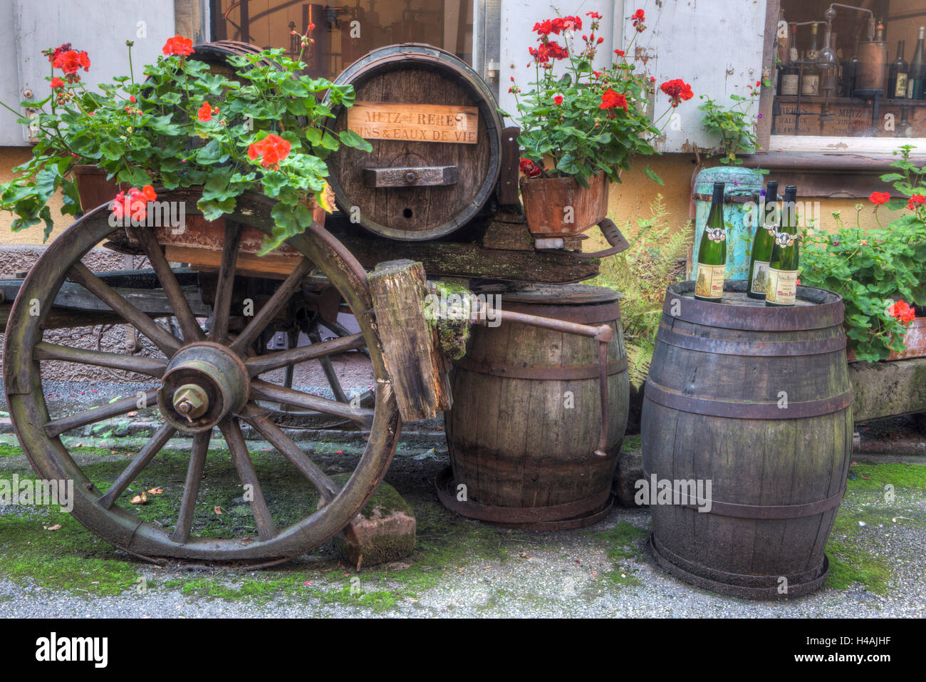 Metz Freres, Ribeauvillé, Rappoltsweiler, Elsässer Wein Route, route des des Vins d ' Alsace, Elsass, Frankreich, Europa Stockfoto