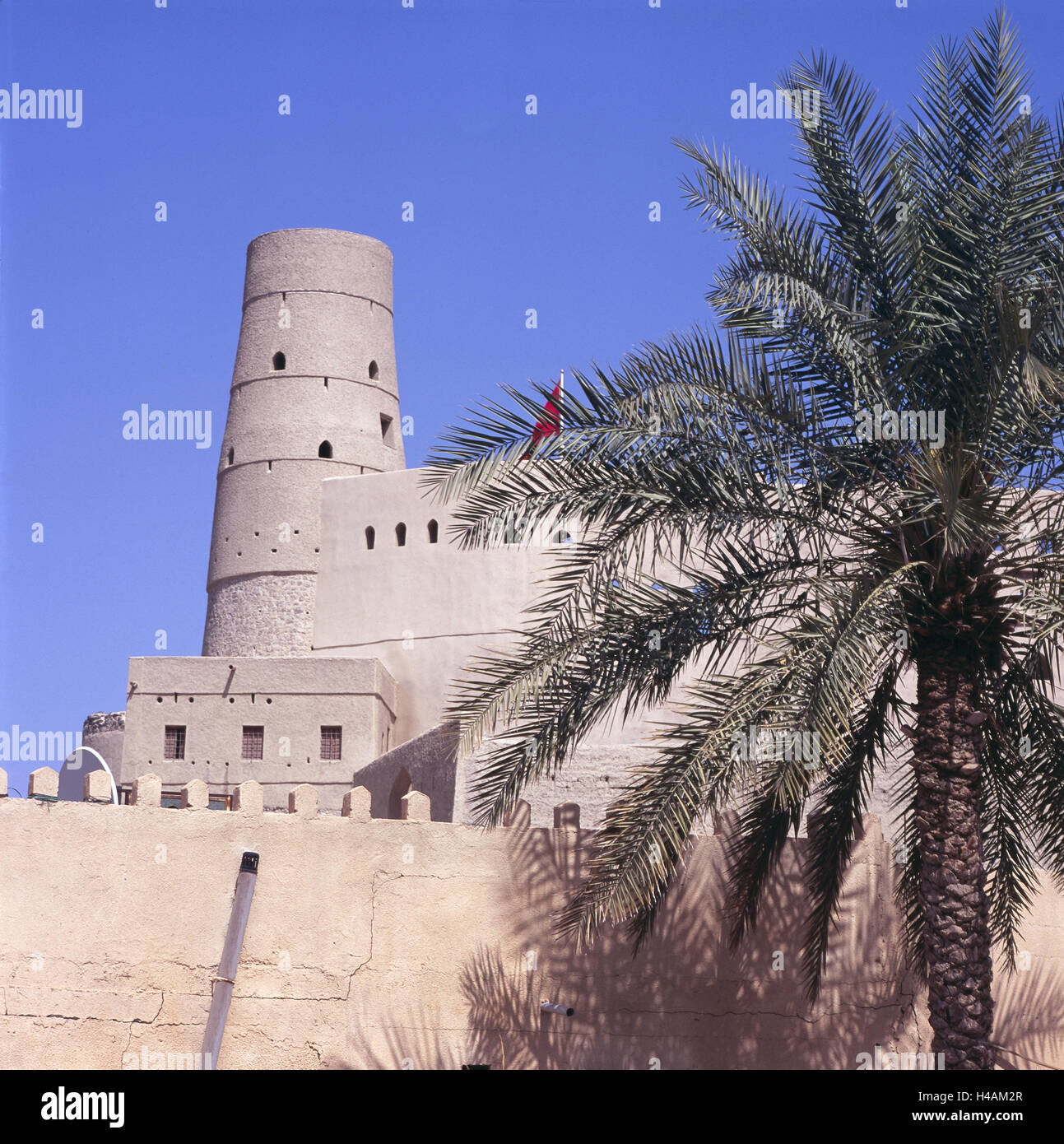 My Image 11