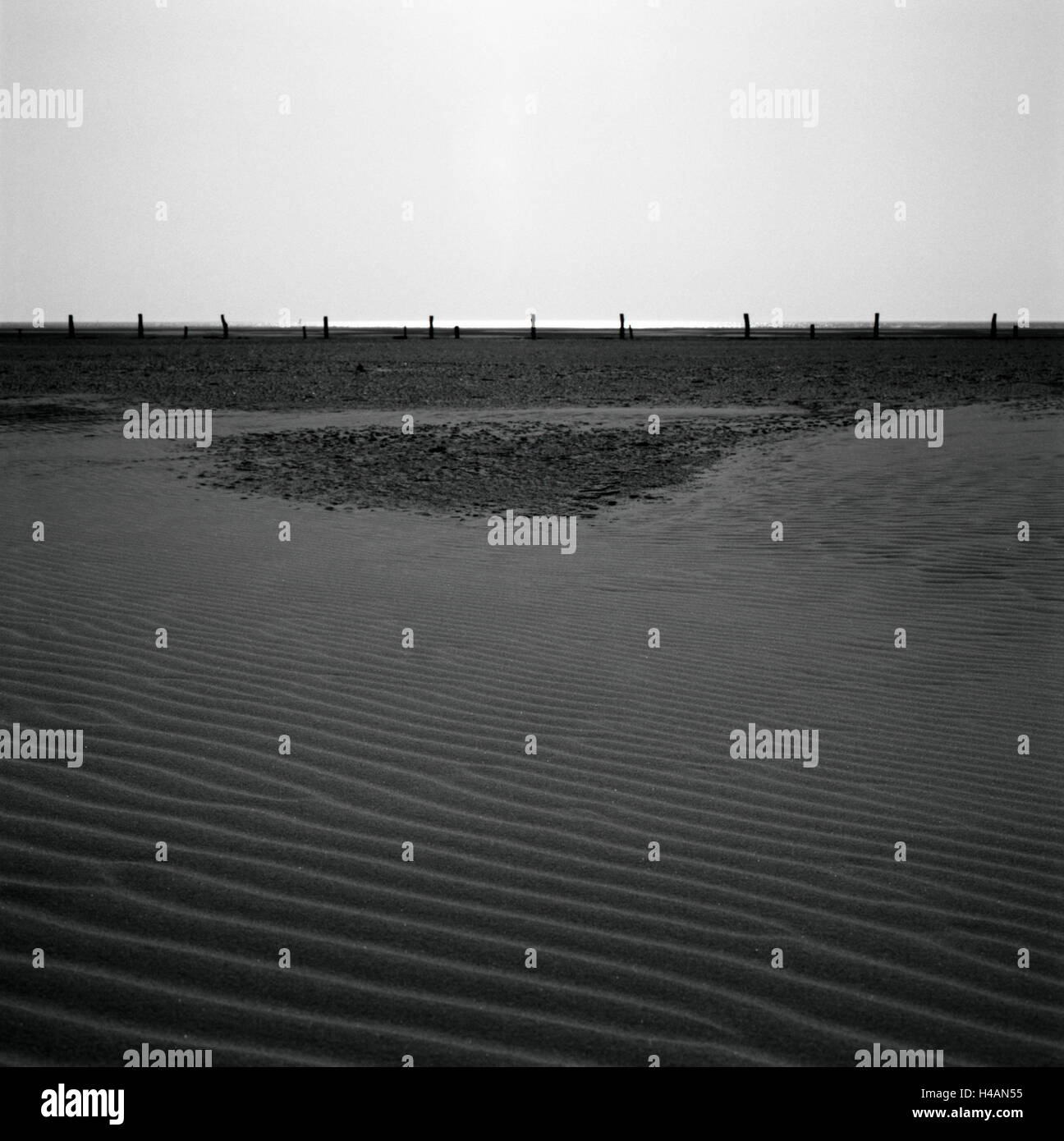 Deutschland, Niedersachsen, Insel Borkum, Nordsee, Küste, Zaun, Sand, Muster, s/w, Stockfoto