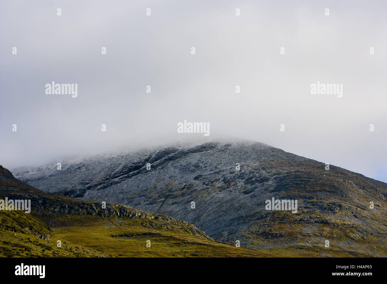 Landschaft, Norwegen, Nebel, Highland, Stockfoto