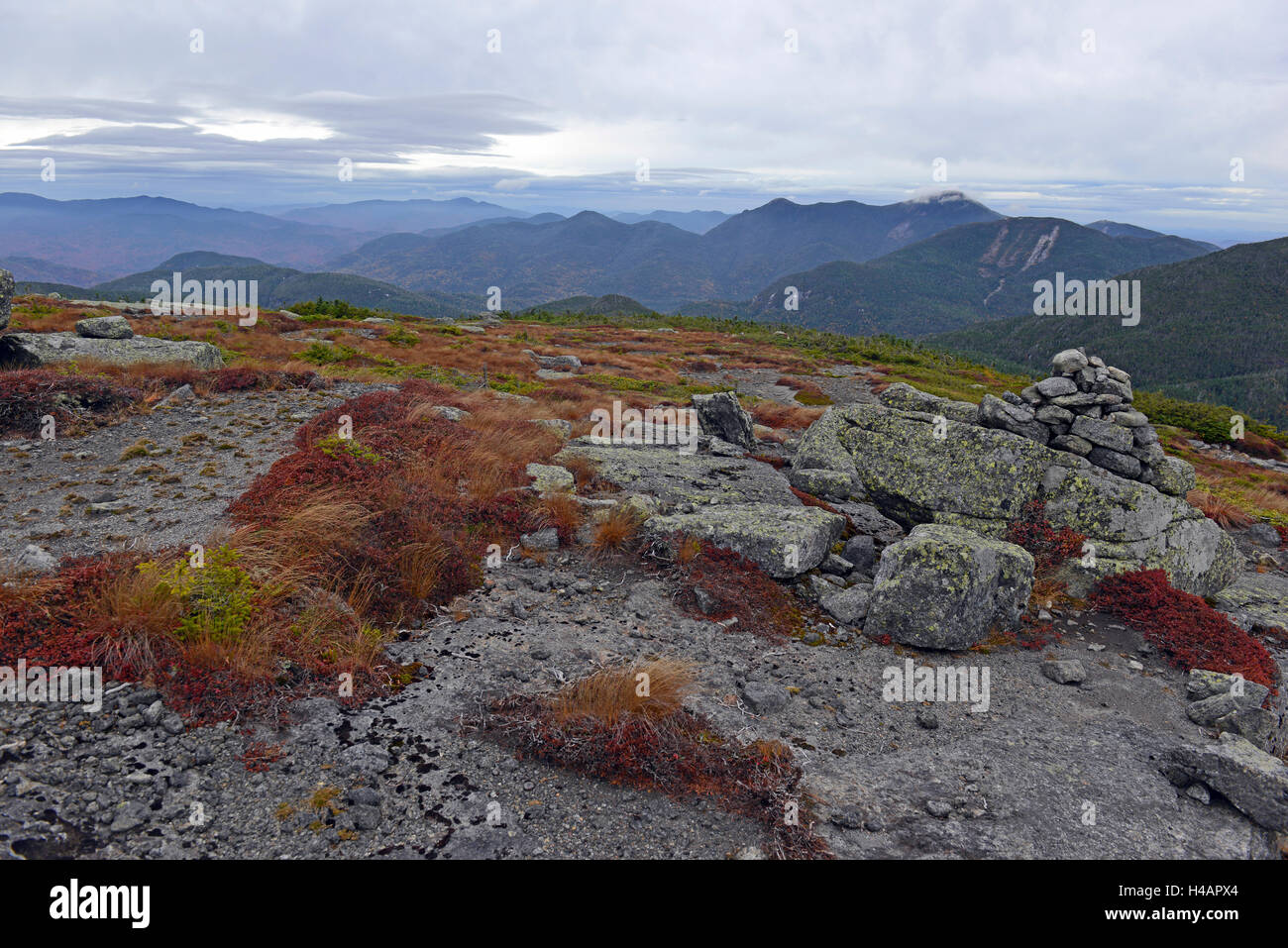 Berggipfel des Adirondack 46er mit subarktischen Klima und Moose und Flechten Stockfoto