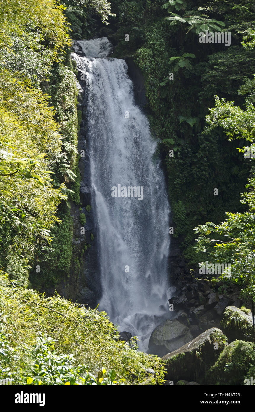 Die Karibik, Dominica, Trafalgar Wasserfälle Stockfoto