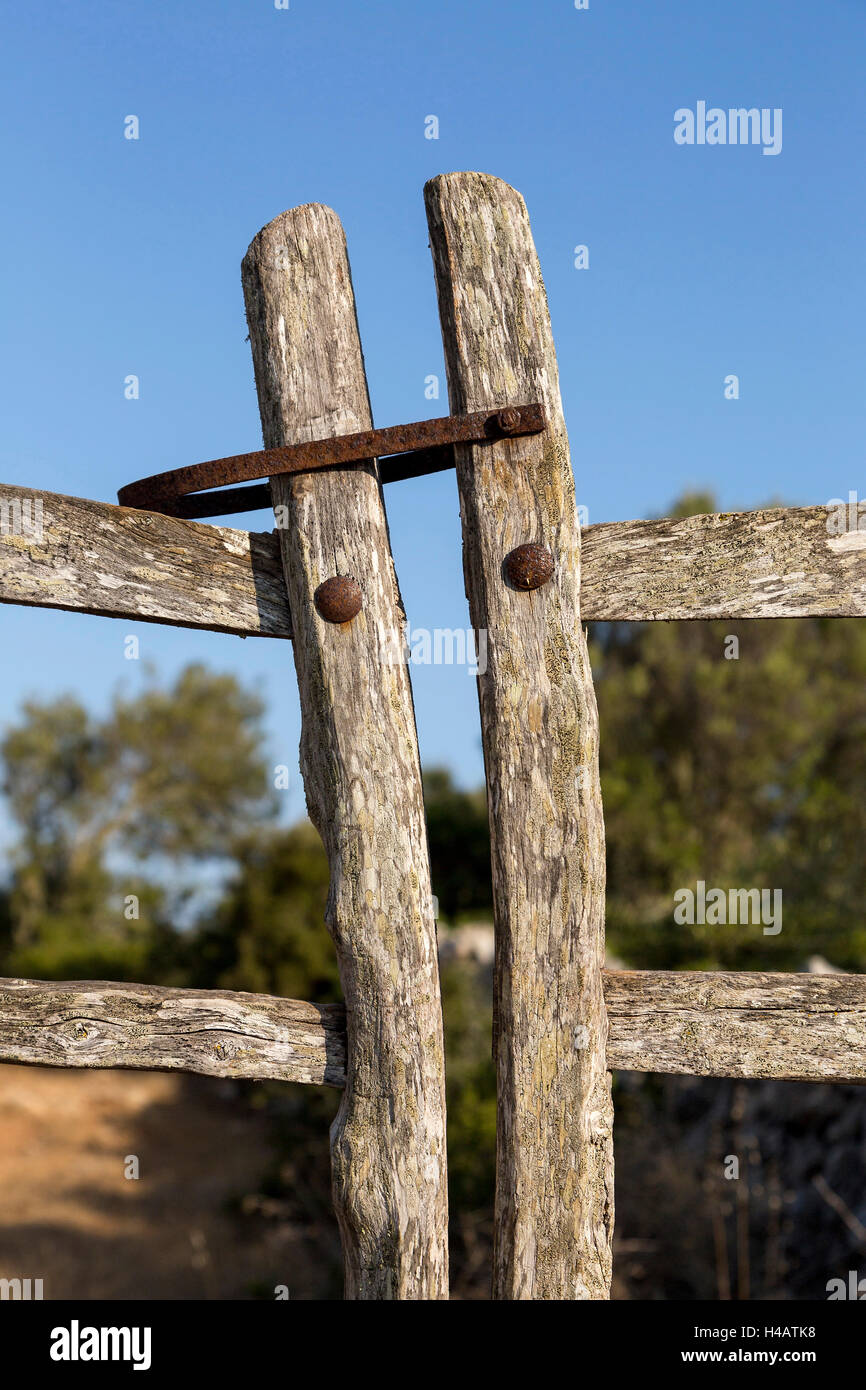 Typische Oliven Holz-Zaun, Insel Menorca, Balearen, Spanien Stockfoto