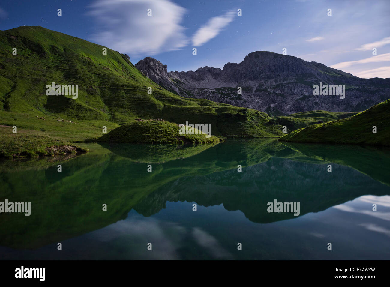 Deutschland, Bayern, Alpen, Schrecksee See, Berge, grün, Wiese, Mond, Licht, Nacht, Sterne, Spiegelung, Kühe, pardisiesche, Kulisse, Stimmung, Paradies Stockfoto