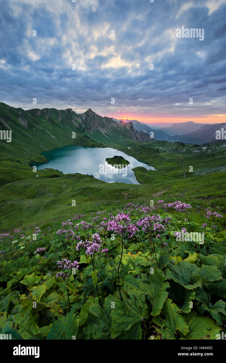 Deutschland, Bayern, Schrecksee, See, Alpen, Berge, Sonne, Gegenlicht, Blumen, Wiese, grün, See, 30 Sekunden, Licht, Wasser, Stimmung, mystische, magische, Ansicht, Paradies, Panorama, Stockfoto