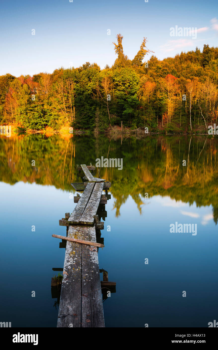Augsburg Western Woods Nature Park Stockfotos und bilder Kaufen Alamy