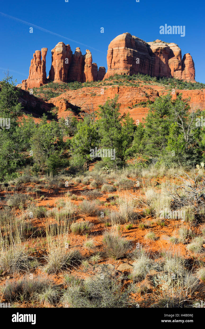 Cathedral Rock, Sedona, Arizona, USA Stockfoto