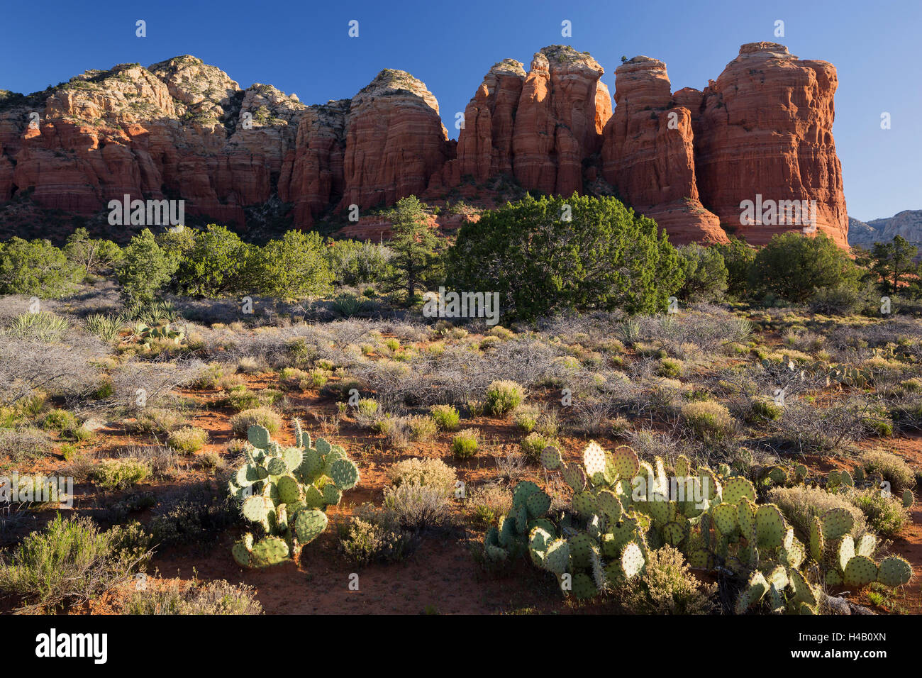 Kaffee Pott Rock, Buena Vista Drive, Sedona, Arizona, USA Stockfoto