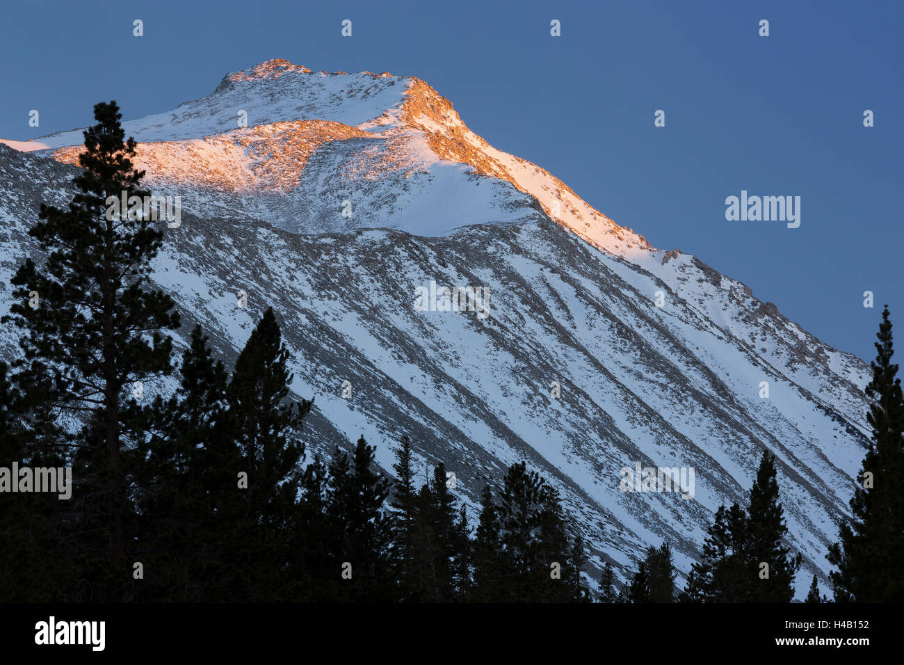High Sierra, Rock Creek, Sierra Nevada, Kalifornien, USA Stockfoto