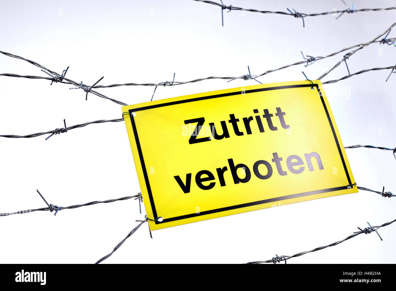 Stacheldraht, neutralen Hintergrund, kein Eintrag Stockfoto