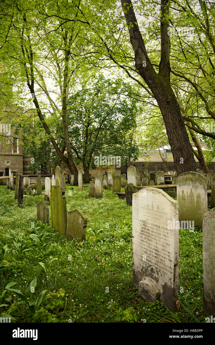 Friedhof, Grabstein, Bäume, Inschrift Stockfoto