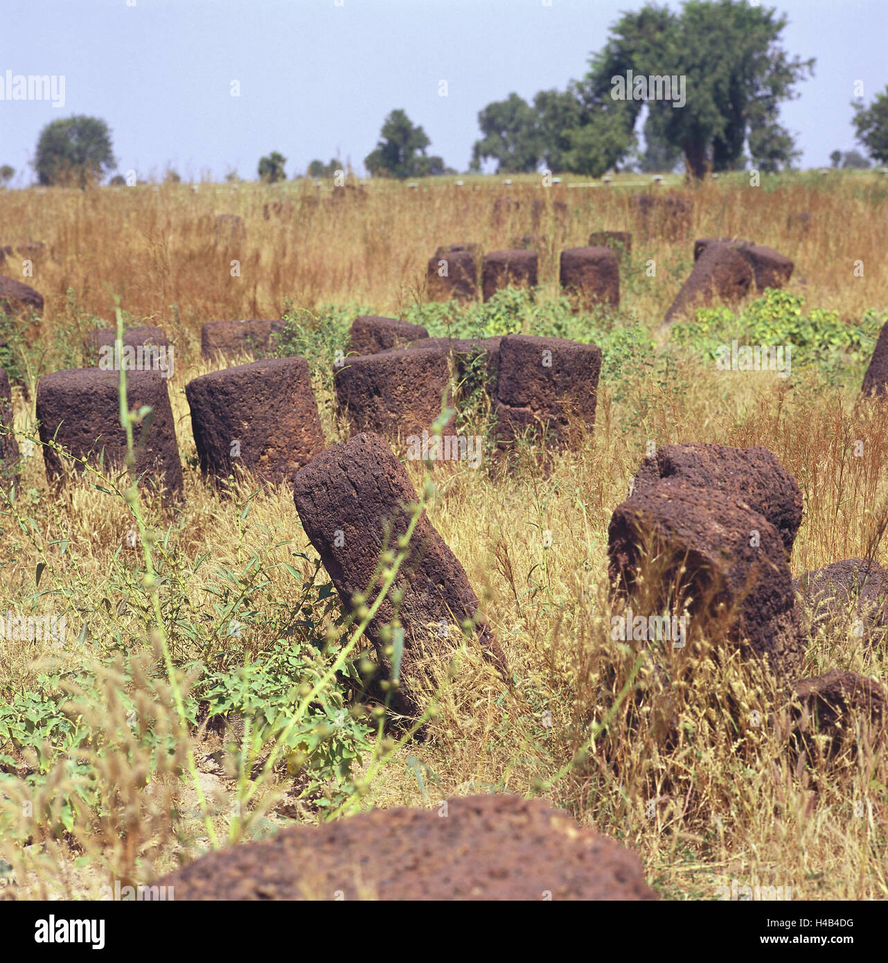 Senegal, Kaolack, Sine Ngayene, Stein Kreise, megalithically, Afrika, West Afrika, Megalithkultur, Senegambischen, steinigen Kreise, Steinen, Denkmäler, Steindenkmäler, Antiquität, Megalithe, Senegambisch, Gräber, herrischen Gräber, Königs Gräber, Wiese, Ausbreitung, Ort von Interesse, UNESCO-Weltkulturerbe, Vegetation, Natur, niemand, Stockfoto