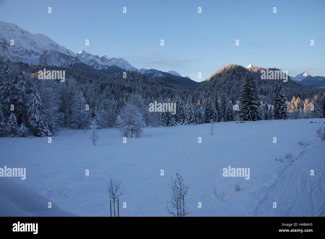 Deutschland, Oberbayern, Elmau, Berglandschaft, Wettersteingebirge, morgen Stimmung, Winter, Bayern, Werdenfels, Berge, Wetter Steinmauer, Alpspitze, Waxenstein, Zugspitze, Holz, Bäume, Koniferen, Umwelt, Berggipfel, Berggipfel, Schnee, Spuren, Alpen, Tagesanbruch, morgen Stimmung, Götterdämmerung, Stockfoto