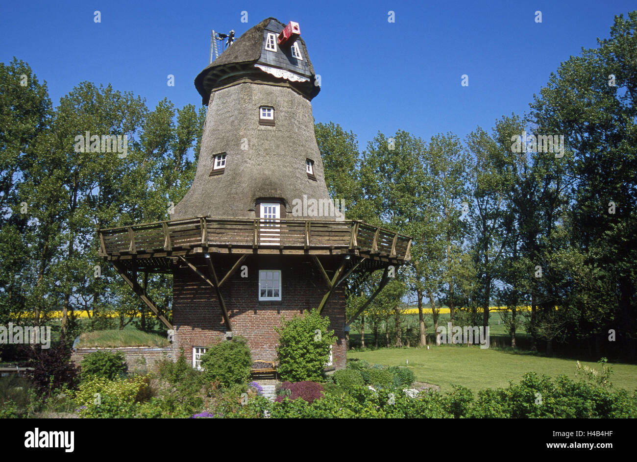 Deutschland, Schleswig - Holstein, Halbinsel Eiderstedt, Kochen Sache, Windmühle, "Fortuna", Frühling, North Country Fries, Kittel Mühle, Galerie Holländer, Mühle, Kochen Sache-Borsthusen, 2 geschossig, Wohn-Mühle, flügellose, konvertierte, Konvertiten, stillgelegten, Gebäude, Wohngebäude, ländlich, idyllisch, Bäume, großblättrigen Bäume, Garten, niemand, Natur, frühlingshafte, historisch, idyllisch, Ort von Interesse, Stockfoto