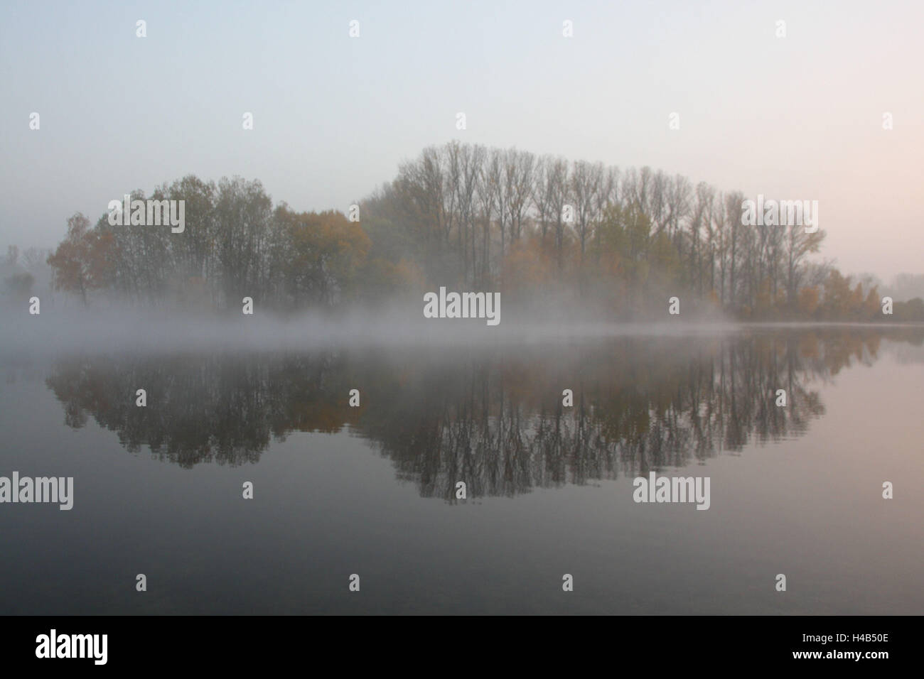 Nebel, See, Bäume, Herbst, Stockfoto