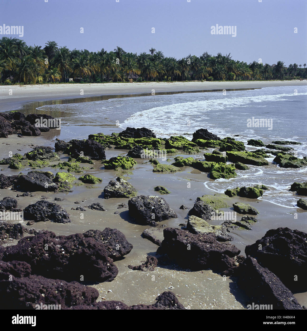 Senegal, Bass Casamance, Cap Skirring, Palm Beach, Meer, Afrika, West Africa, niedrigere Casamance, Küste, Küstenlandschaft, Strand, sandigen Strand, Sand, Felsen, Palmen, niemand, Stockfoto