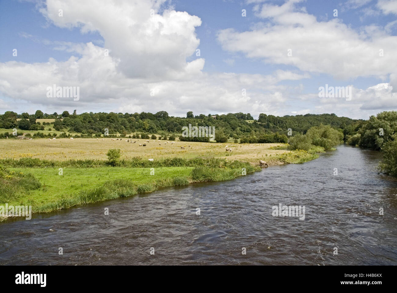 Irland, Newgrange, Leinster, Meath, Fluss-Landschaft, Stockfoto