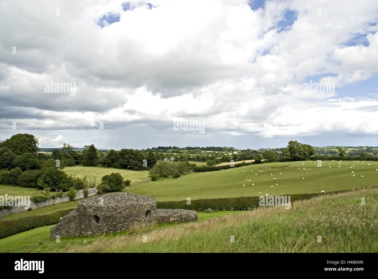 Irland, Newgrange, Leinster, Meath, Landschaft, Schafe, Stockfoto