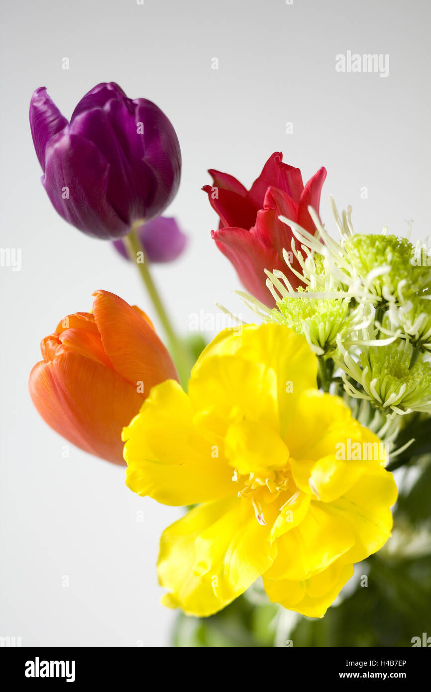Bouquet mit farbigen Tulpen, mittlere close-up, Stockfoto