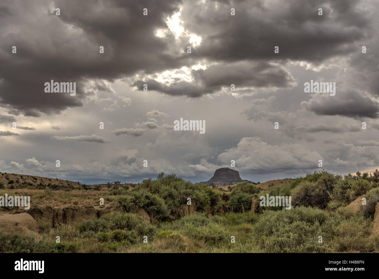 Monsun Gewitter westlich der Ojito Wildnis, New Mexico, USA. Stockfoto