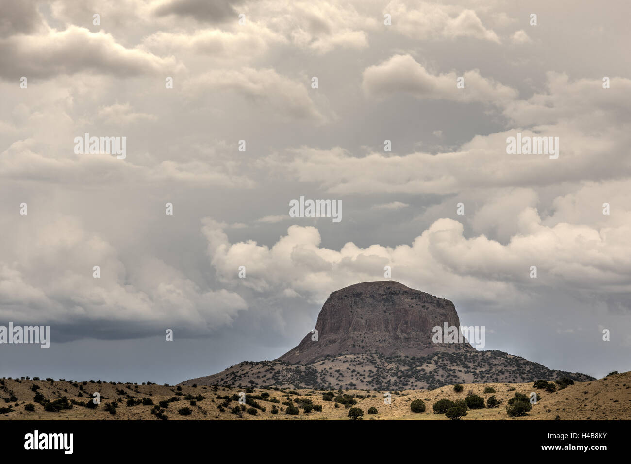 Monsun Gewitter westlich der Ojito Wildnis, New Mexico, USA. Stockfoto