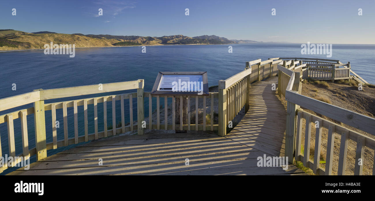 anzulegen auf dem Castle Point, Wellington, Nordinsel, Neuseeland Stockfoto