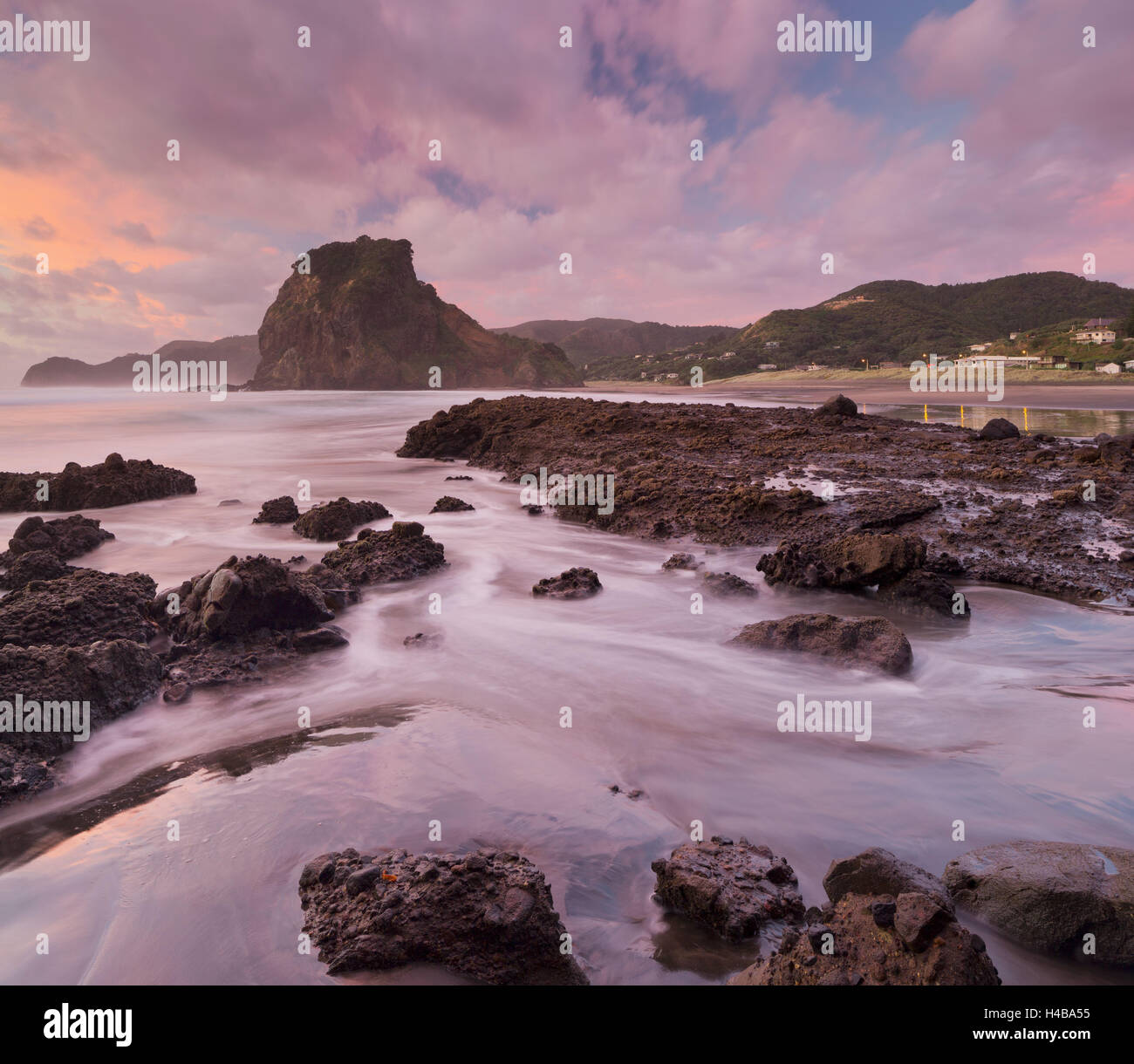 Sonnenuntergang in der Lion Rock, Piha, Auckland, Nordinsel, Neuseeland Stockfoto