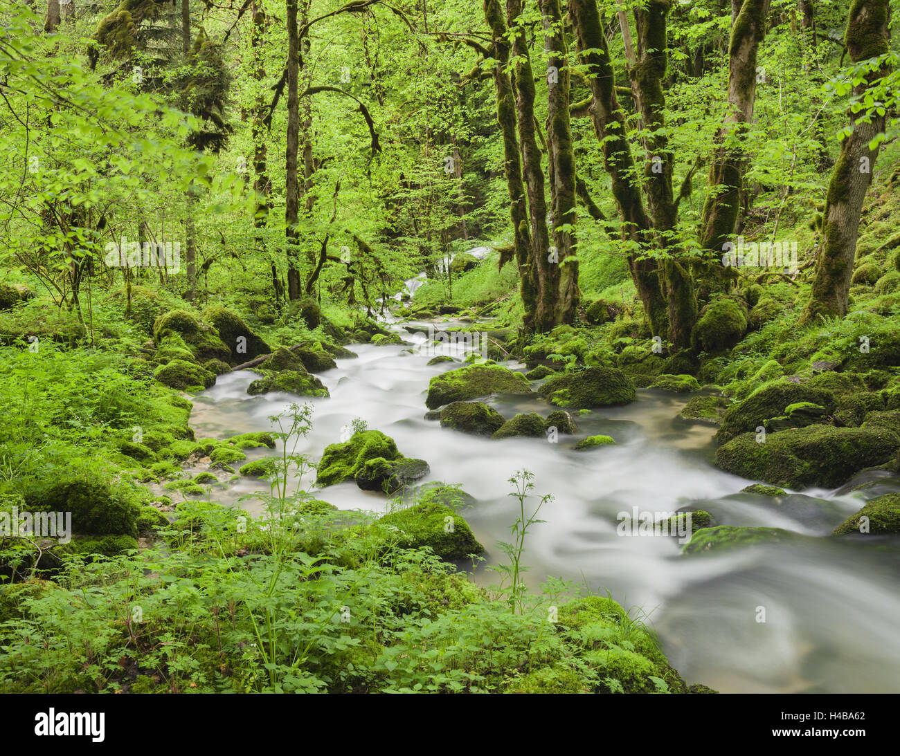 Le dessoubre Fotos und Bildmaterial in hoher Auflösung Alamy