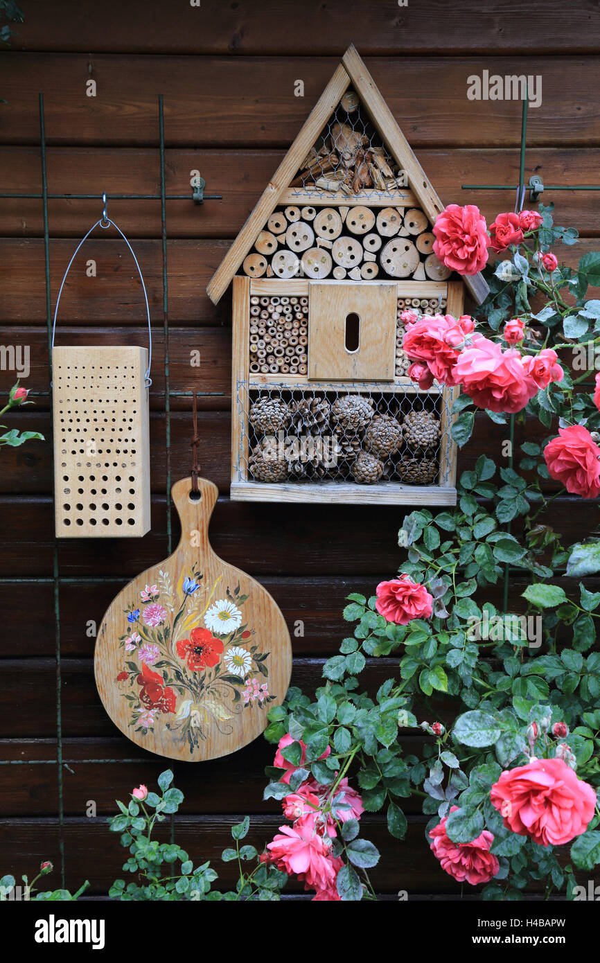 Gartenhäuschen mit Rosen und Insektenhotel Stockfoto