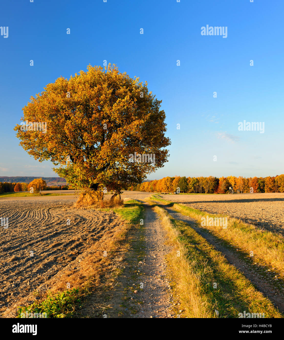 Deutschland, Thüringen, Herbstlandschaft unweit von Jena Stockfoto