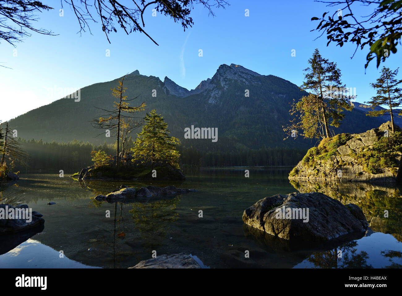 Bäume auf der Felseninsel in der Hintersee Stockfoto